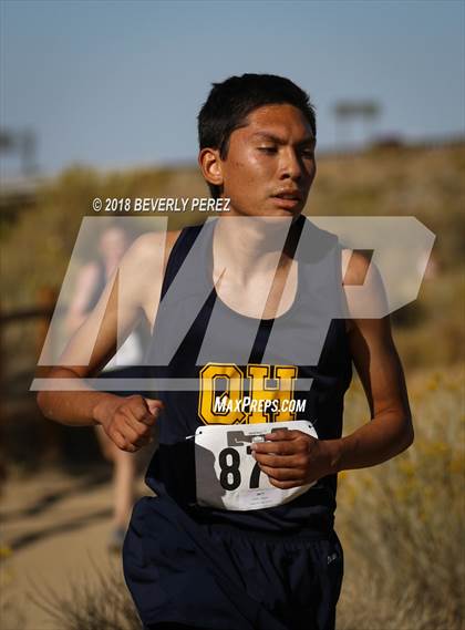 Thumbnail 2 in Golden League Finals photogallery.