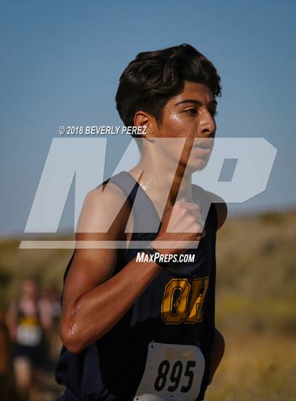 Thumbnail 3 in Golden League Finals photogallery.