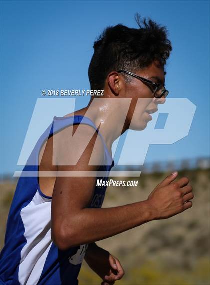 Thumbnail 2 in Golden League Finals photogallery.