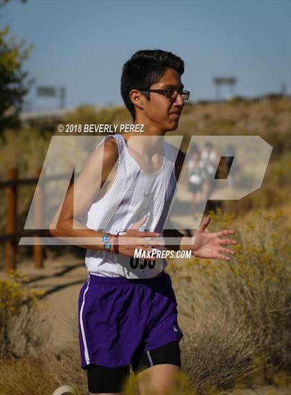 Thumbnail 3 in Golden League Finals photogallery.