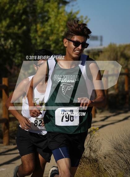 Thumbnail 2 in Golden League Finals photogallery.