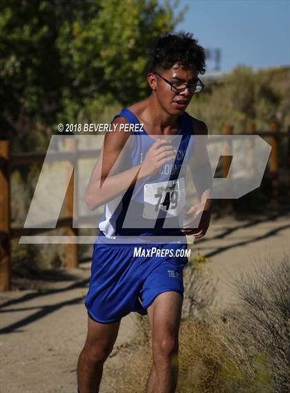 Thumbnail 2 in Golden League Finals photogallery.