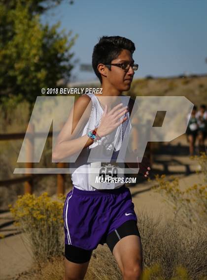 Thumbnail 2 in Golden League Finals photogallery.