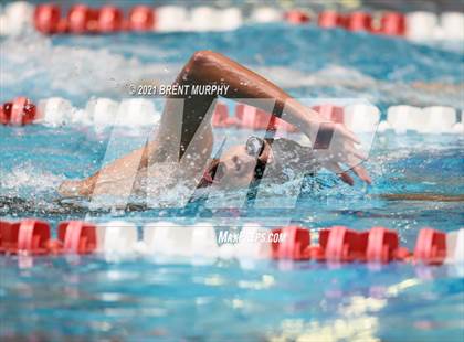 Thumbnail 2 in Monarch vs. Fossil Ridge photogallery.
