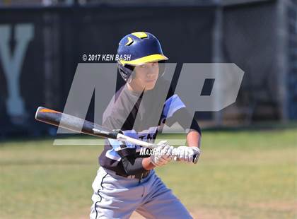 Thumbnail 1 in Salesian vs. Camarillo photogallery.