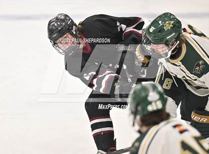 Thumbnail 3 in Chatfield @ Mountain Vista photogallery.
