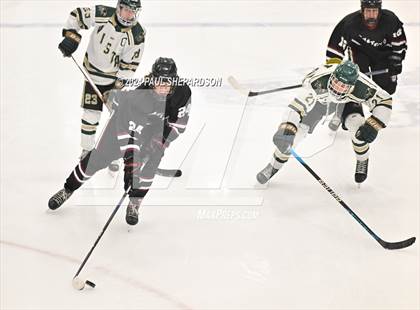 Thumbnail 1 in Chatfield @ Mountain Vista photogallery.