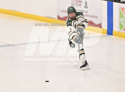 Thumbnail 1 in Chatfield @ Mountain Vista photogallery.