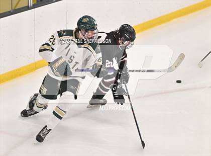 Thumbnail 3 in Chatfield @ Mountain Vista photogallery.