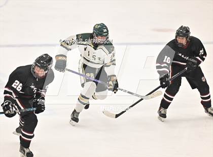 Thumbnail 3 in Chatfield @ Mountain Vista photogallery.