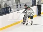 Photo from the gallery "Chatfield @ Mountain Vista"