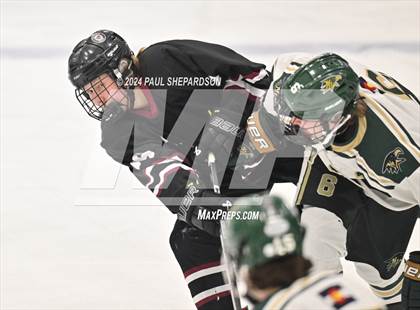 Thumbnail 2 in Chatfield @ Mountain Vista photogallery.