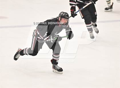 Thumbnail 3 in Chatfield @ Mountain Vista photogallery.