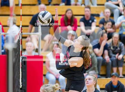 Thumbnail 2 in Leo @ Huntington North photogallery.