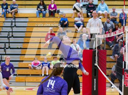 Thumbnail 1 in Leo @ Huntington North photogallery.
