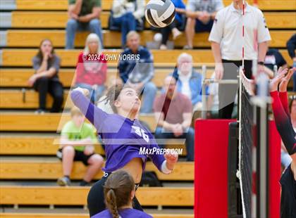 Thumbnail 1 in Leo @ Huntington North photogallery.