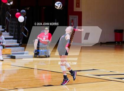Thumbnail 3 in Leo @ Huntington North photogallery.