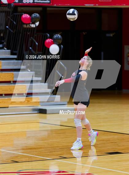 Thumbnail 3 in Leo @ Huntington North photogallery.
