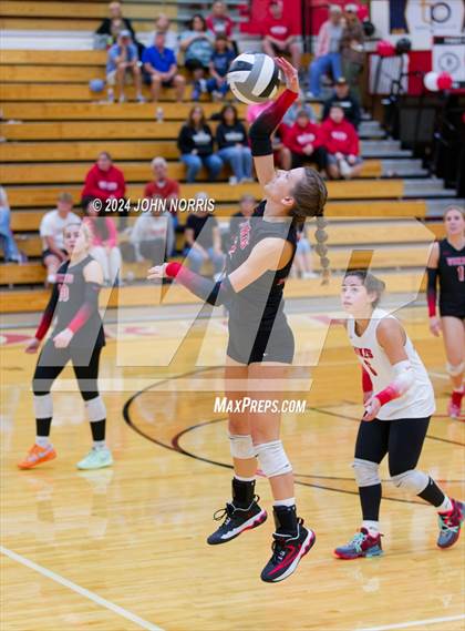 Thumbnail 3 in Leo @ Huntington North photogallery.
