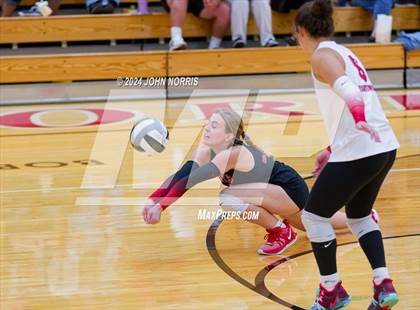Thumbnail 2 in Leo @ Huntington North photogallery.