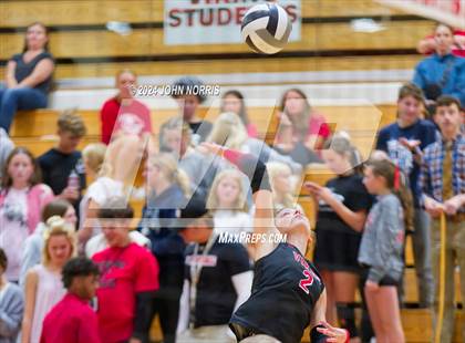 Thumbnail 2 in Leo @ Huntington North photogallery.