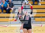 Photo from the gallery "Leo @ Huntington North"