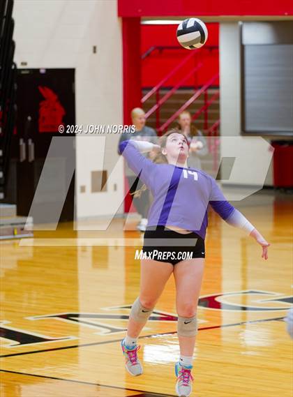 Thumbnail 3 in Leo @ Huntington North photogallery.