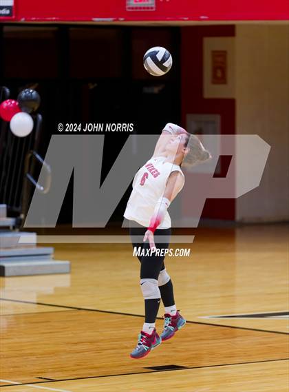 Thumbnail 3 in Leo @ Huntington North photogallery.