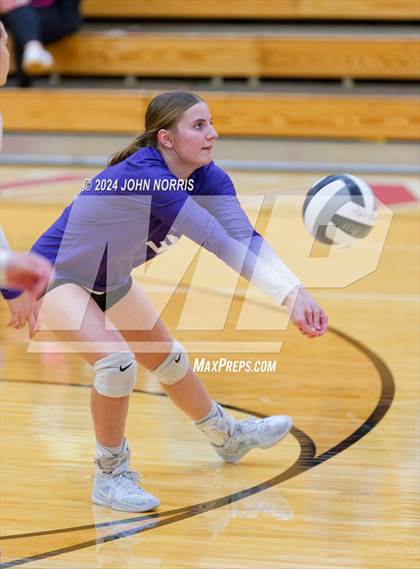 Thumbnail 3 in Leo @ Huntington North photogallery.