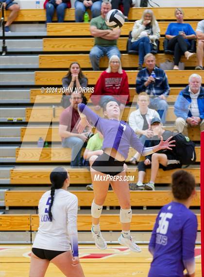 Thumbnail 2 in Leo @ Huntington North photogallery.