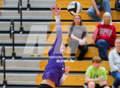 Thumbnail 3 in Leo @ Huntington North photogallery.