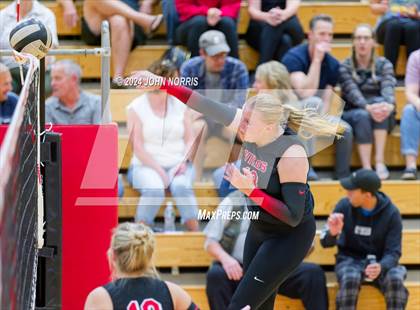 Thumbnail 3 in Leo @ Huntington North photogallery.