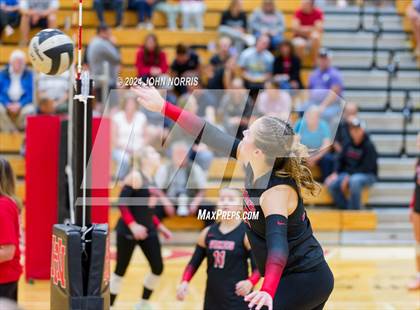 Thumbnail 3 in Leo @ Huntington North photogallery.