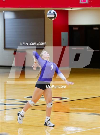 Thumbnail 3 in Leo @ Huntington North photogallery.