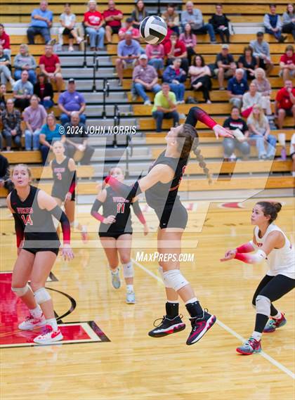 Thumbnail 1 in Leo @ Huntington North photogallery.