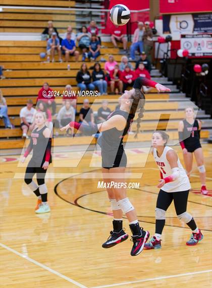 Thumbnail 2 in Leo @ Huntington North photogallery.