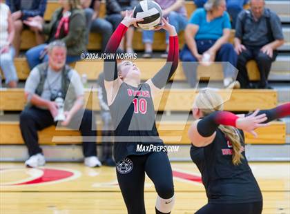 Thumbnail 2 in Leo @ Huntington North photogallery.