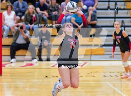 Thumbnail 3 in Leo @ Huntington North photogallery.