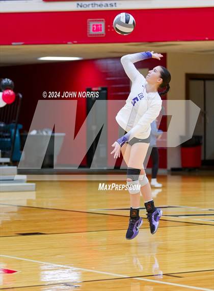 Thumbnail 2 in Leo @ Huntington North photogallery.