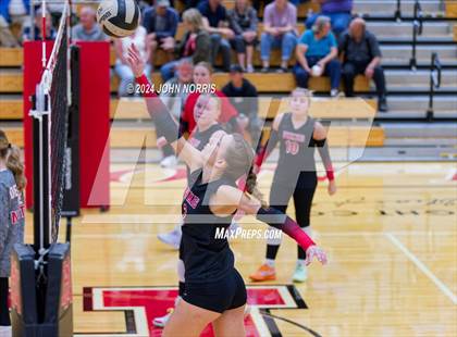 Thumbnail 3 in Leo @ Huntington North photogallery.