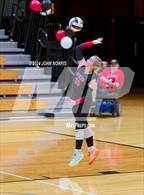 Photo from the gallery "Leo @ Huntington North"
