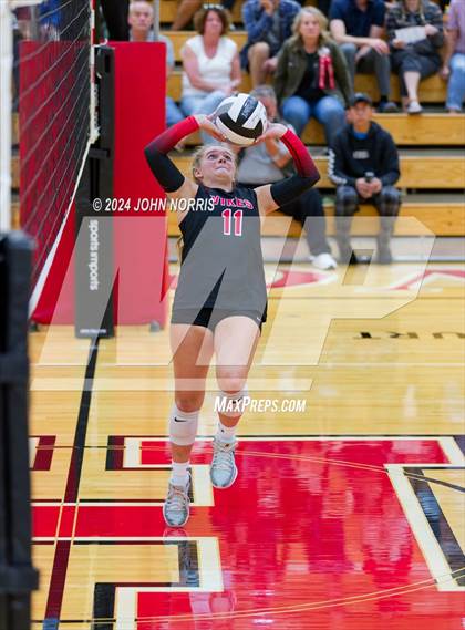 Thumbnail 3 in Leo @ Huntington North photogallery.