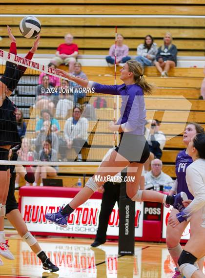 Thumbnail 2 in Leo @ Huntington North photogallery.