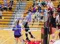 Photo from the gallery "Leo @ Huntington North"