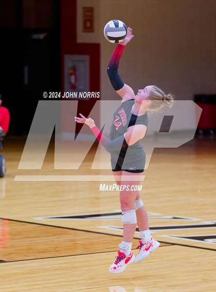 Thumbnail 2 in Leo @ Huntington North photogallery.