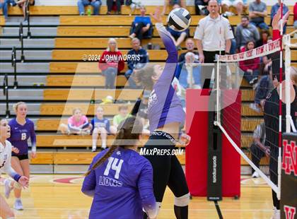 Thumbnail 2 in Leo @ Huntington North photogallery.