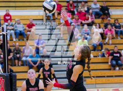 Thumbnail 2 in Leo @ Huntington North photogallery.