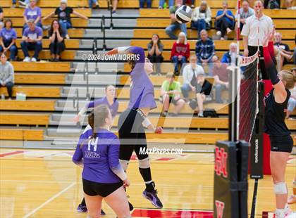 Thumbnail 1 in Leo @ Huntington North photogallery.