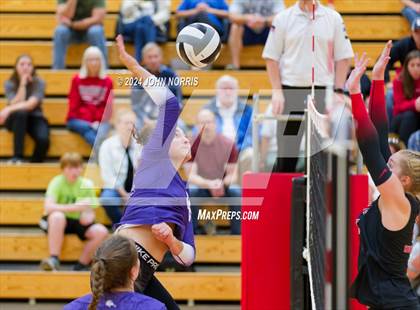 Thumbnail 2 in Leo @ Huntington North photogallery.