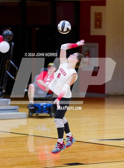 Thumbnail 3 in Leo @ Huntington North photogallery.